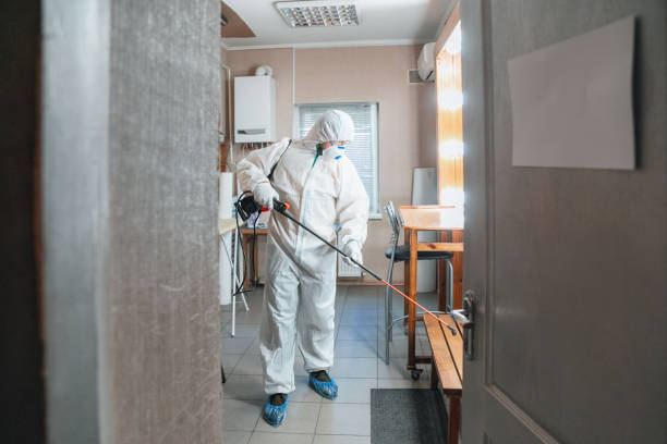 Best Environmental Consulting for Mold Prevention  in Baxley, GA
