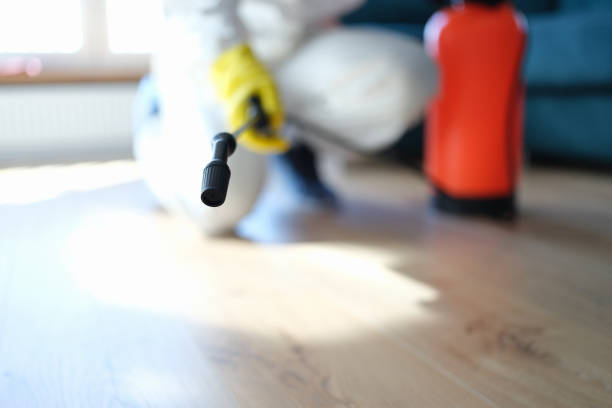 Best Residential Mold Inspection & Testing  in Baxley, GA