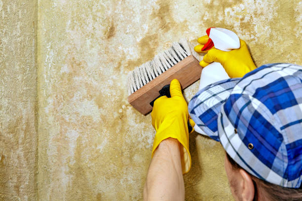 Best Forensic Mold Investigation  in Baxley, GA